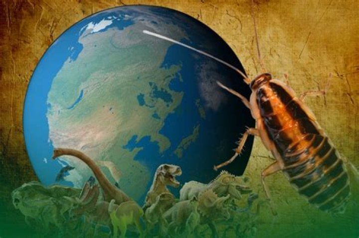 Did cockroaches survive the ice age?