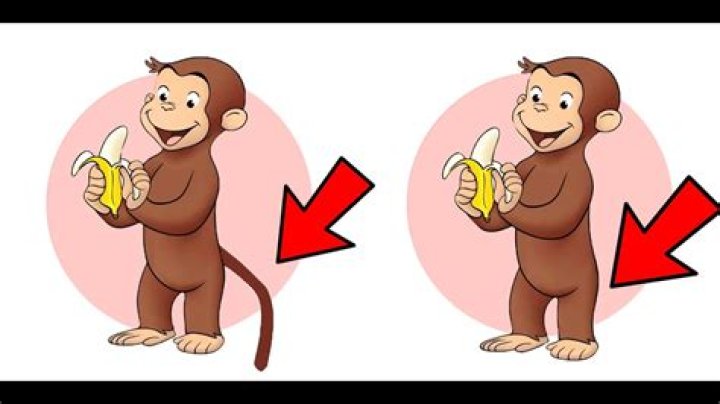 Did curious george have a tail?