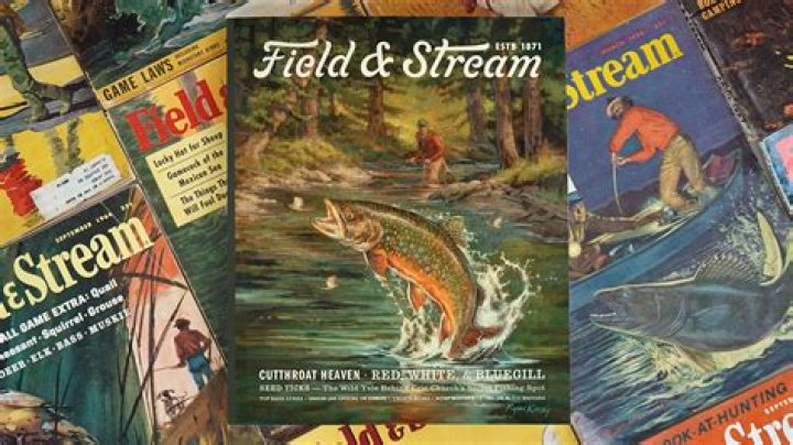 Did field and stream go out of business?