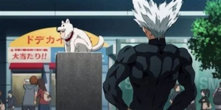 Did garou beat watchdog man?
