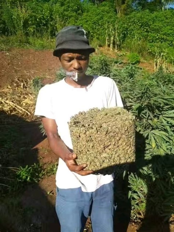 Did ghana legalized weed?