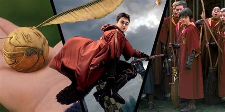 Did hufflepuff ever win the quidditch cup?