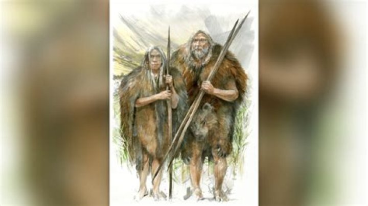 Did humans start off as herbivores?