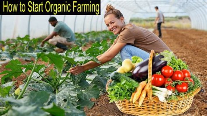 Did organic farming start?