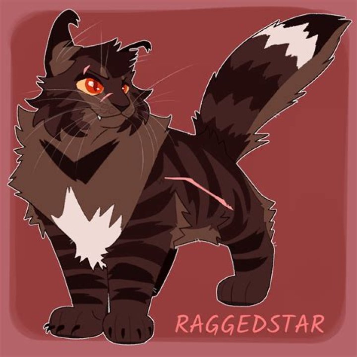 Did raggedstar love foxheart?