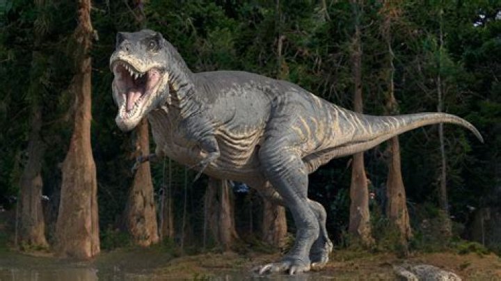 Did t rex have warm blood?