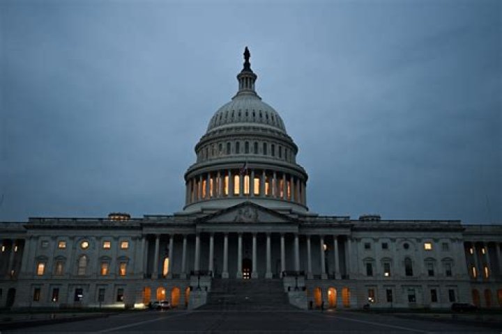 Did the government pay for indian scalps?