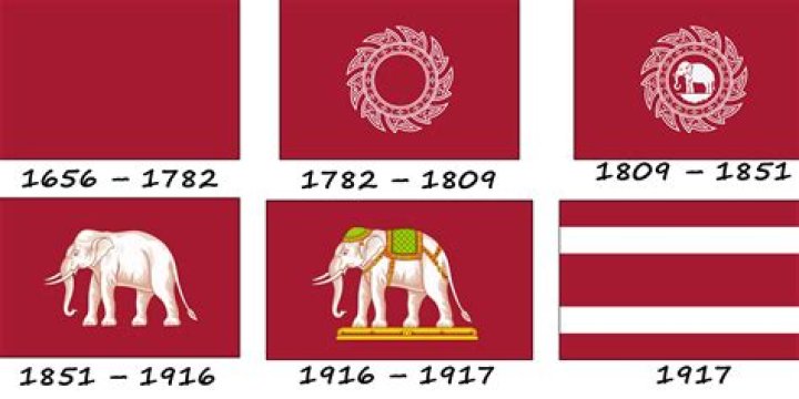 Did the king of siam send elephants to america?