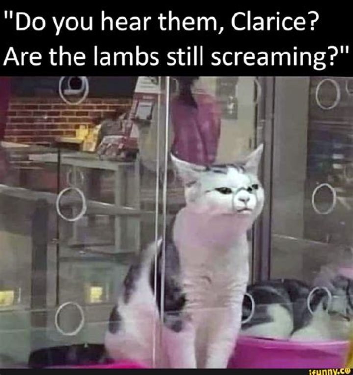 Did the lambs stop screaming?