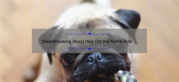 Did the norris nuts dog die?
