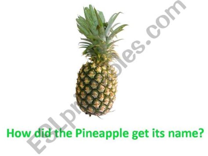 Did the pineapple get its name?