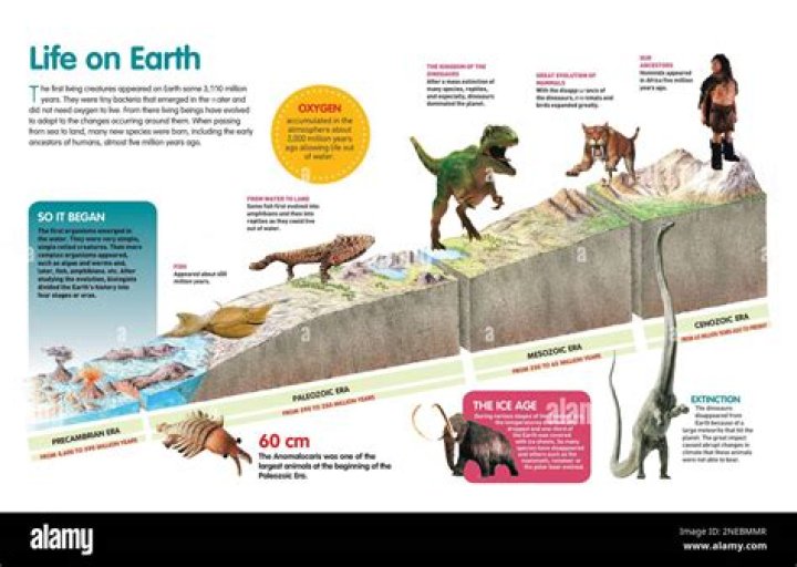 Did the precambrian era have dinosaurs?