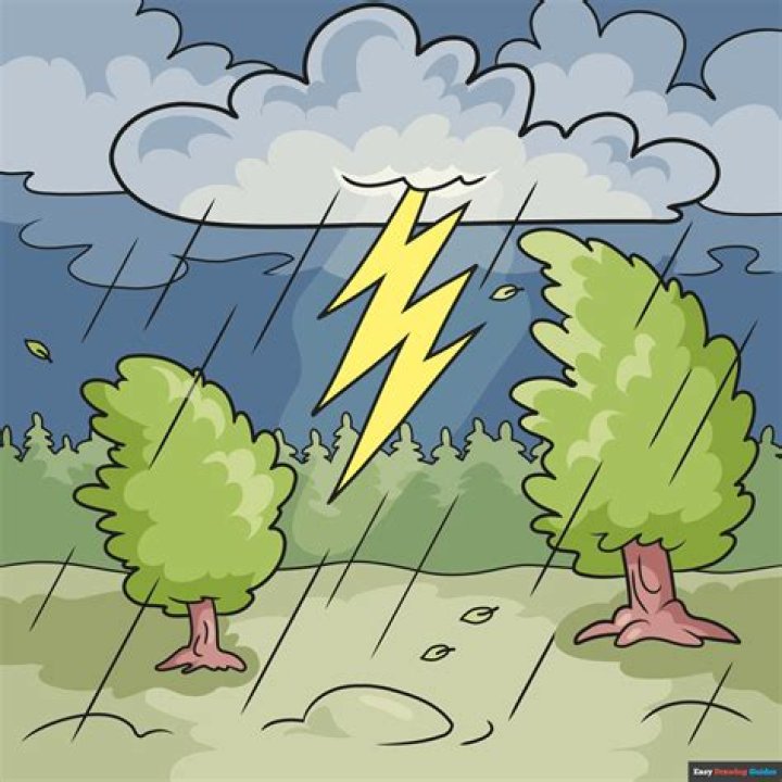 Did thunderstorm win the voice?