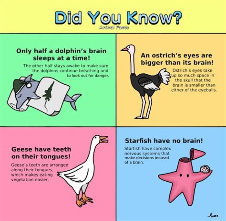 Did you know facts about cyprus?