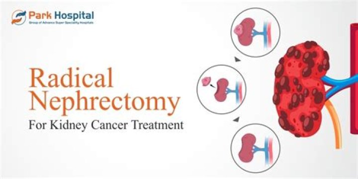Do adrenal glands get removed with nephrectomy?