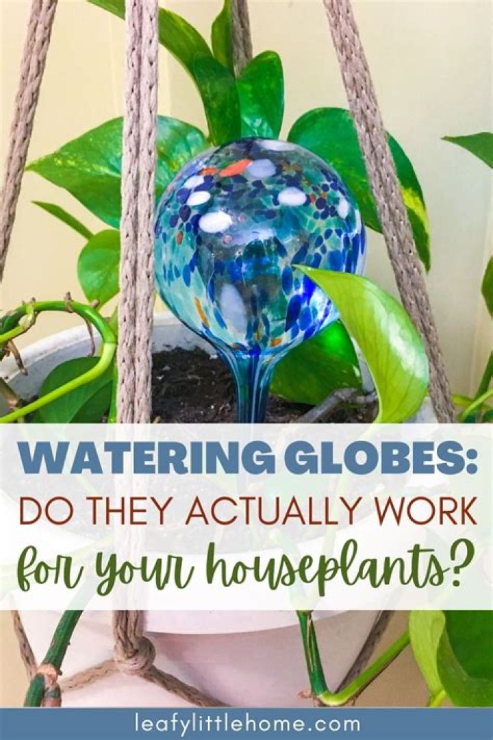 Do aqua globes work?