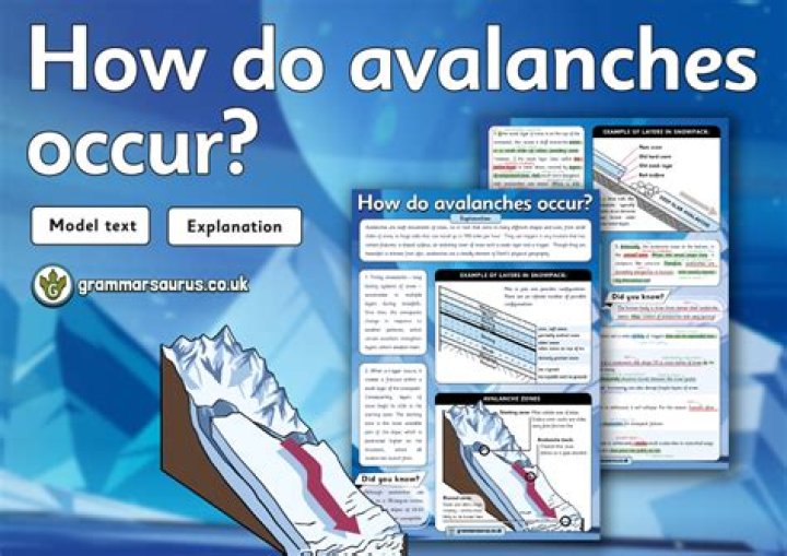Do avalanches occur in trees?