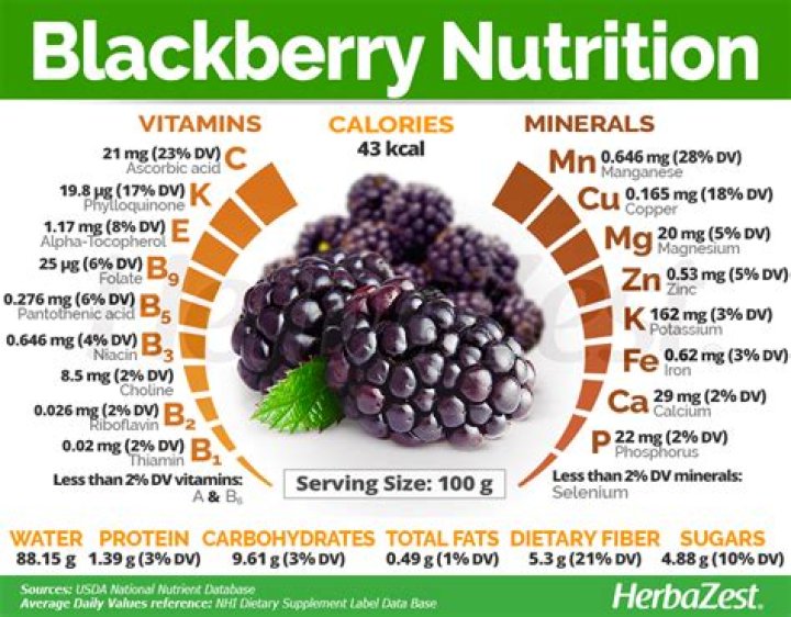 Do blackberries have antioxidants?