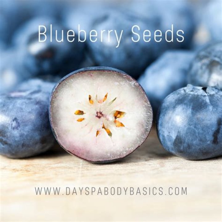Do blueberries have seeds?