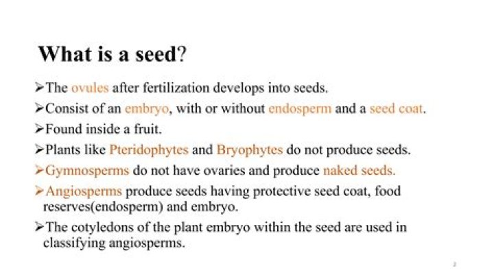Do bryophytes produce seeds?
