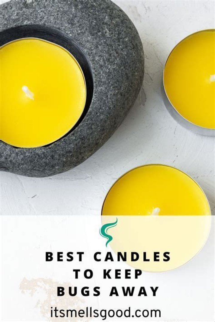 Do candles keep bugs away?