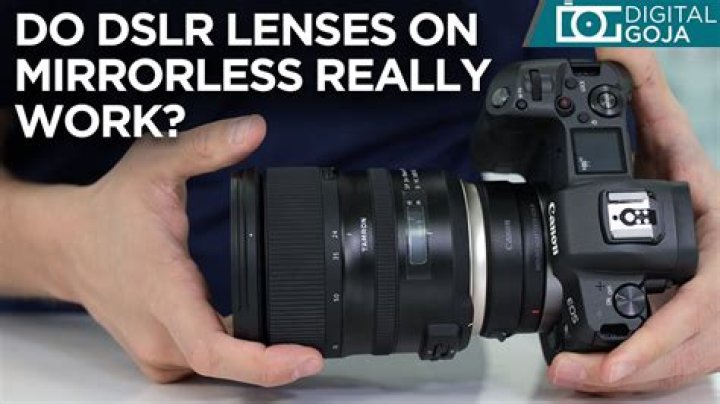 Do canon ef lenses work on mirrorless?