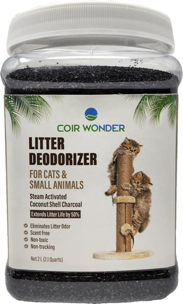 Do cats prefer unscented litter?