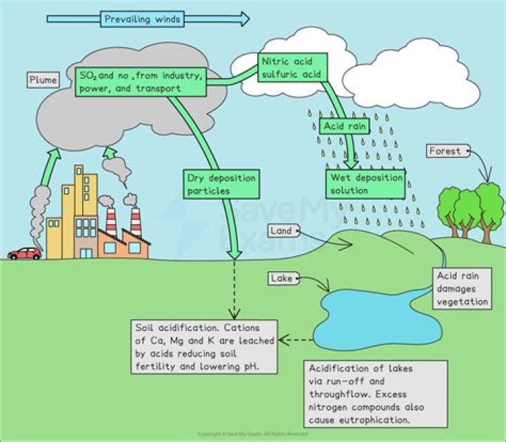 Do chlorofluorocarbons contribute to acid rain?