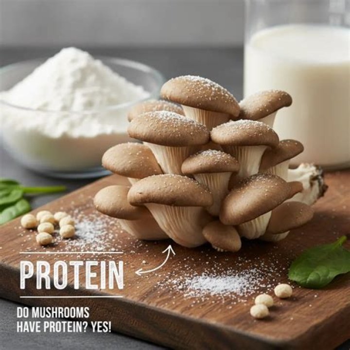 Do crimini mushrooms have protein?
