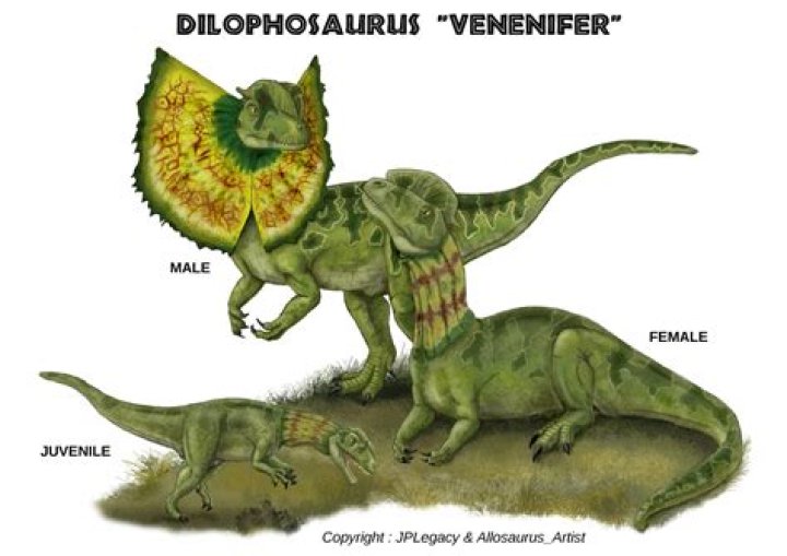 Do dilophosaurus have frills?