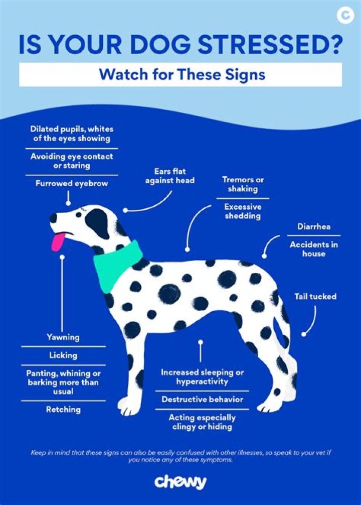 Do dogs shed when stressed?