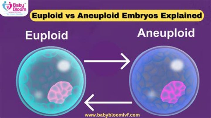 Do euploid embryos implant?