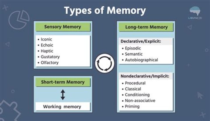 Do geniuses have good memory?