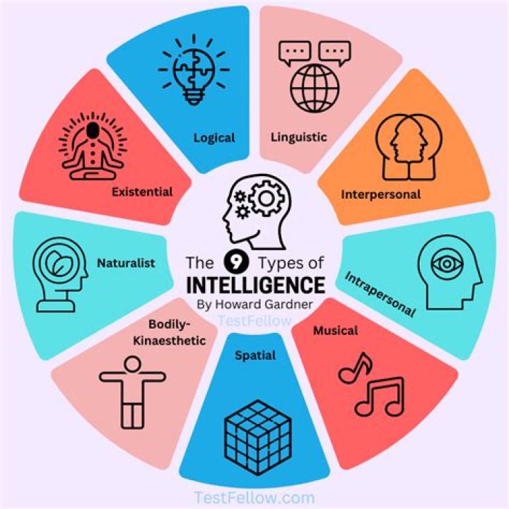 Do grades correlate with intelligence?