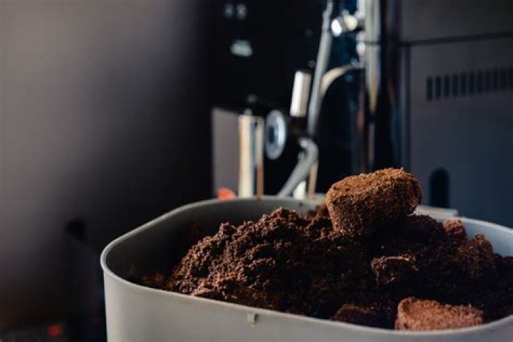 Do hoyas like coffee grounds?