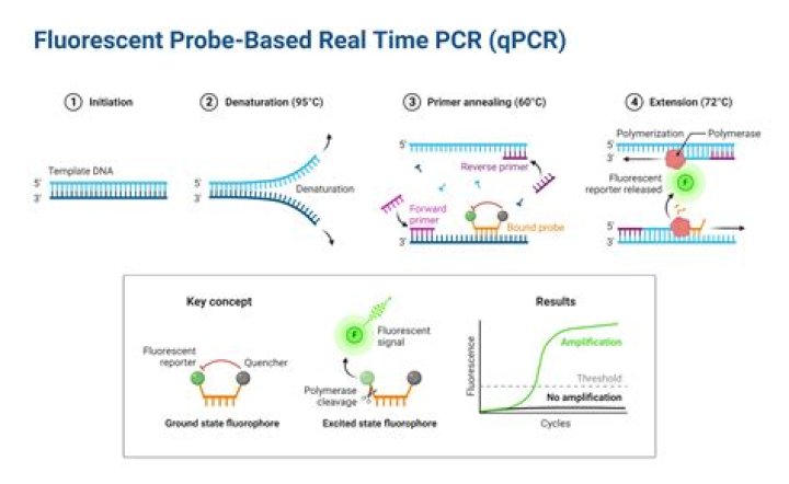 Do i need rt pcr to enter gujarat?