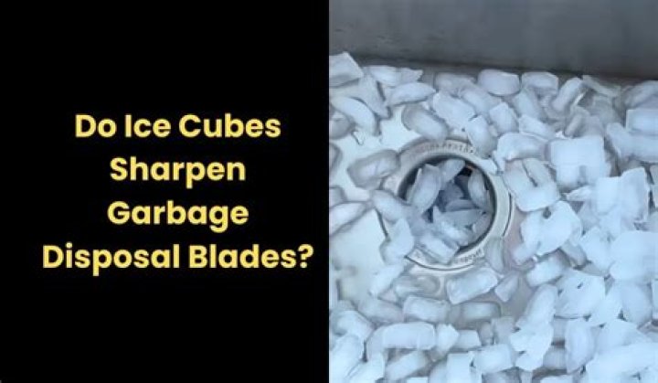 Do ice cubes sharpen disposal blades?