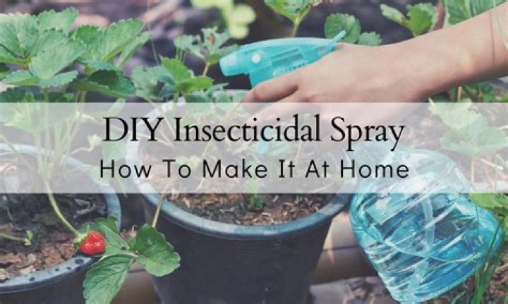 Do it yourself insecticidal soap?