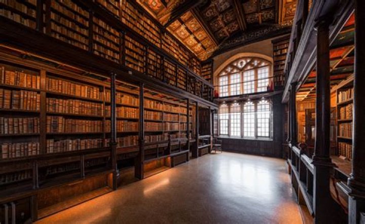 Do libraries have rosetta stone?
