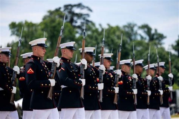 Do marines have cavalry?