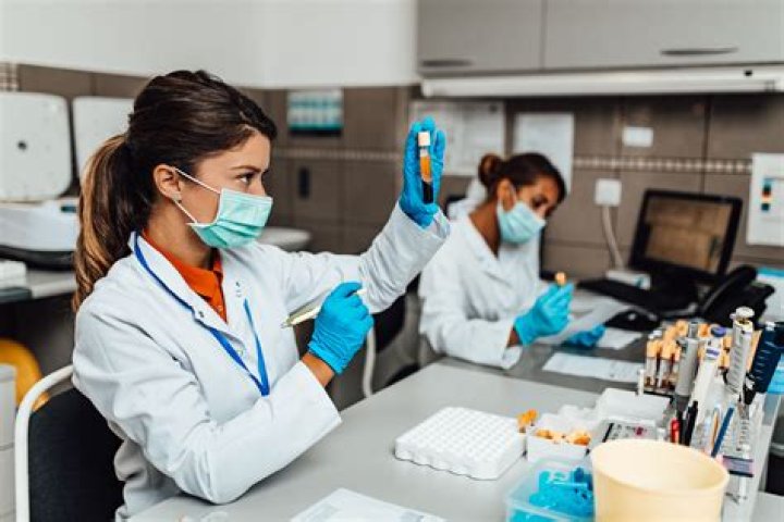 Do medical technologists draw blood?