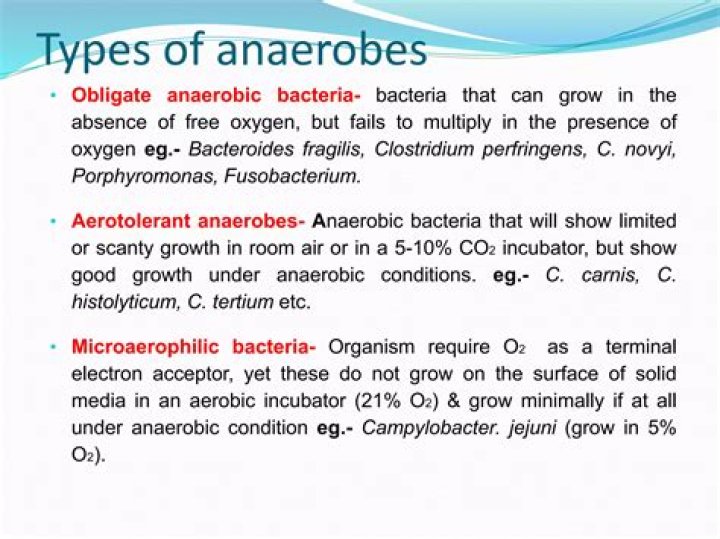 Do obligate anaerobes have mitochondria?