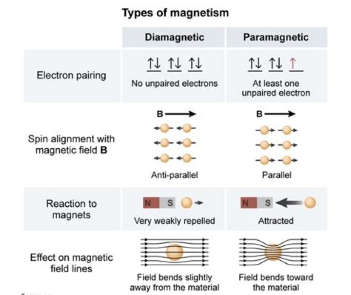 Do paramagnetic have unpaired electrons?