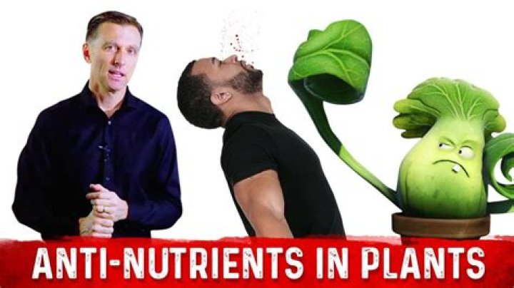 Do plants want to be eaten?
