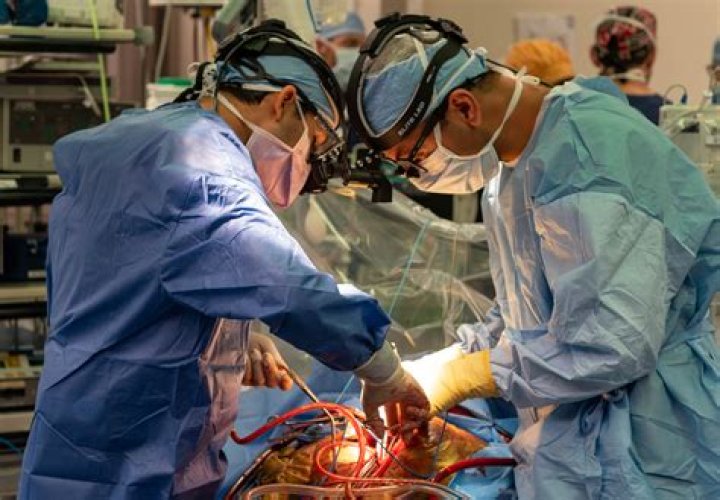 Do plastic surgeons perform mastectomies?