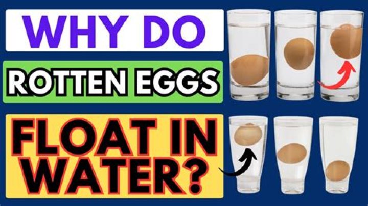 Do rotten eggs float?