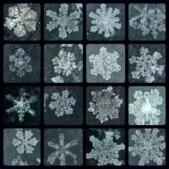 Do snowflakes really look like that?