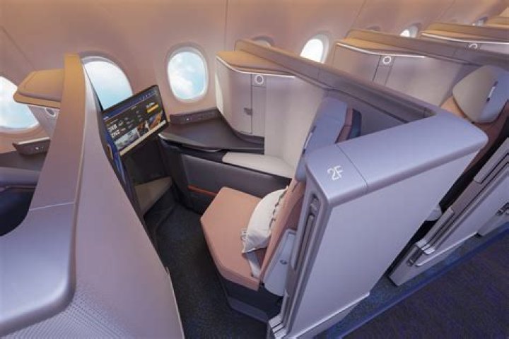 Do the springboks fly business class?