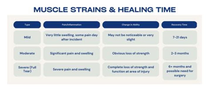 Do torn muscles heal on their own?