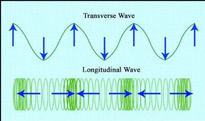 Do transverse waves have rarefactions?